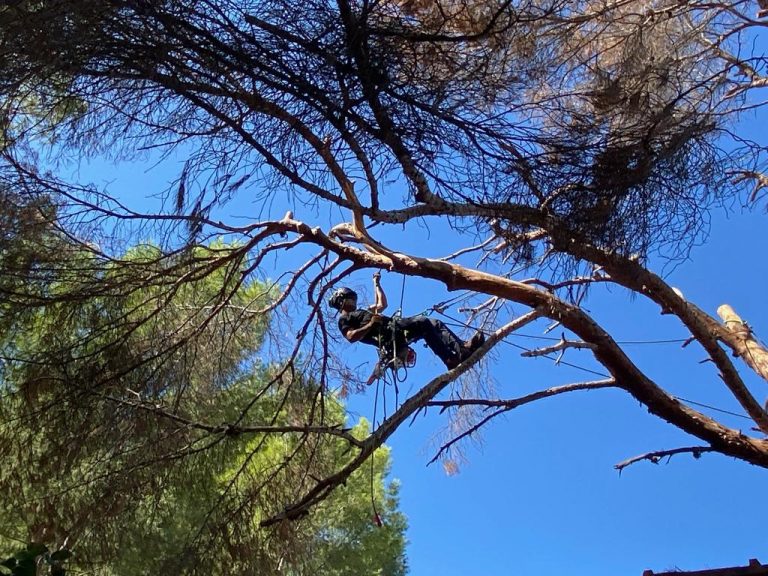 166230e3-320f-4a47-ae58-773204e27ab8