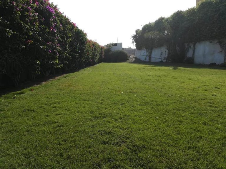 116184786_118518593278788_7692124522619009591_n