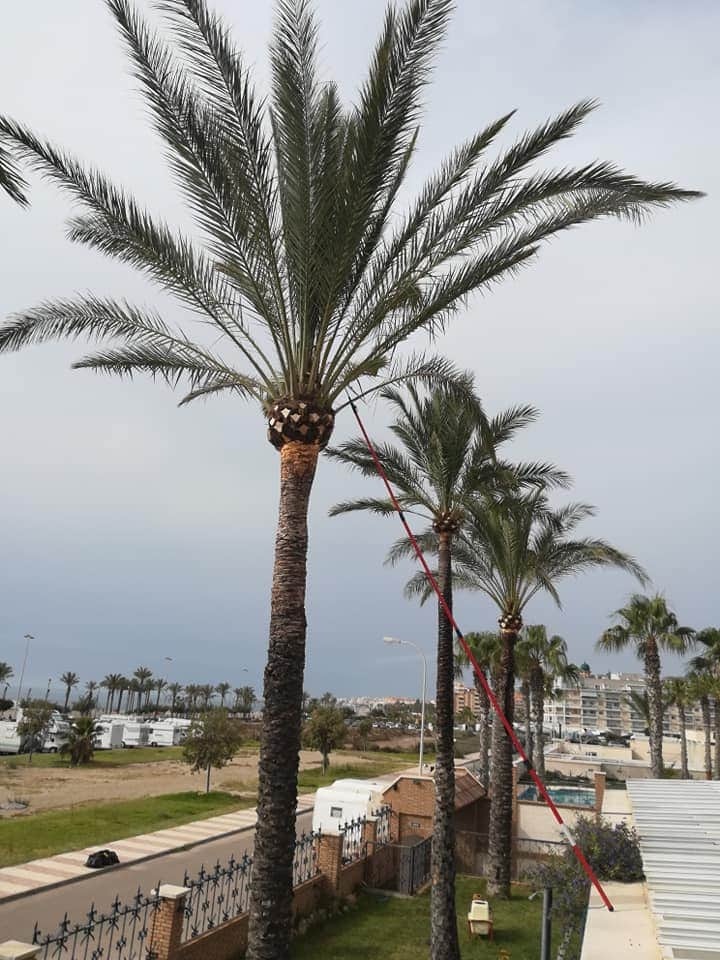 116241161_118516523278995_5438155904457618626_n