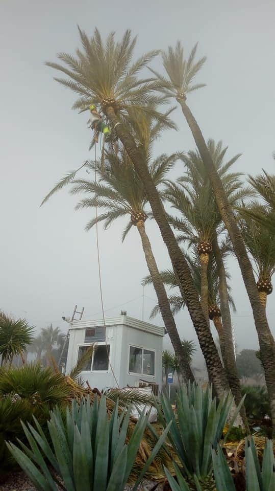 116252568_118517339945580_270484550702272266_n