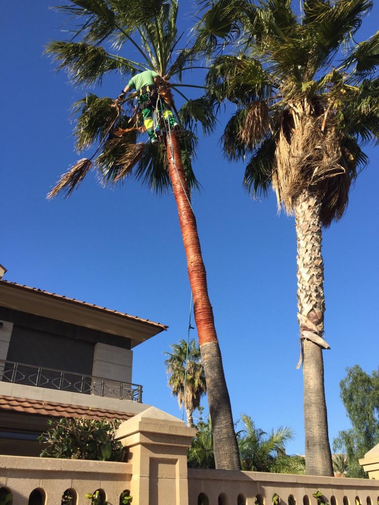 116253698_118779826585998_2110297926546622437_n