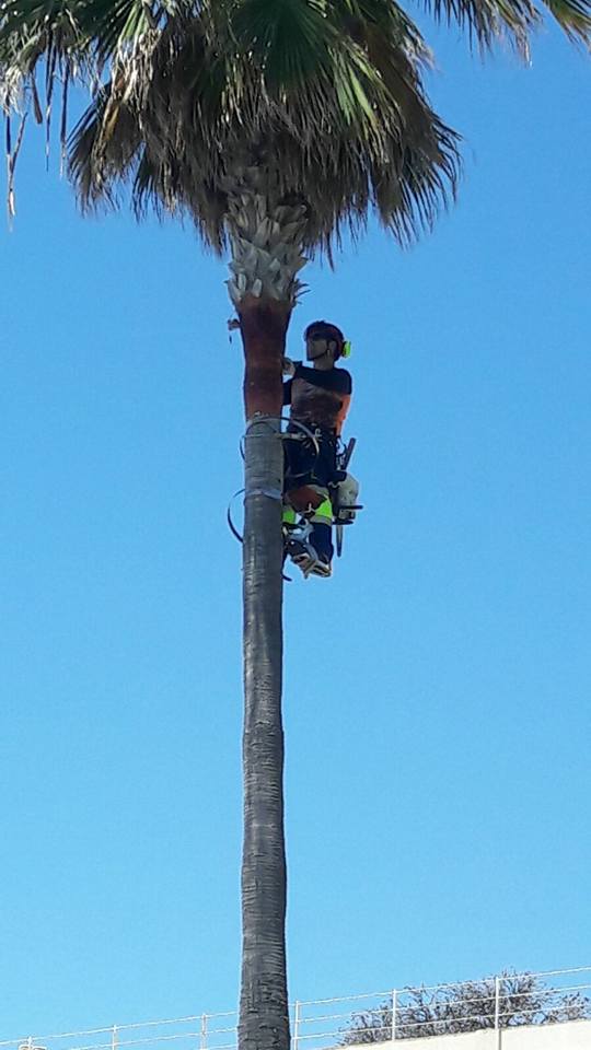 116254130_118779659919348_2635115674922821583_n