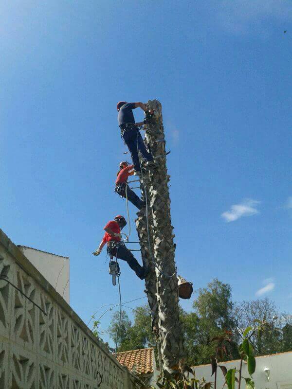 116264466_118779756586005_7440096401387477404_n