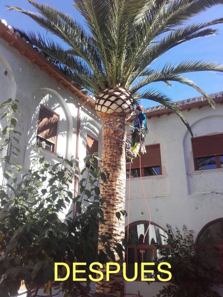 116265440_119096763220971_6614509266928707321_n