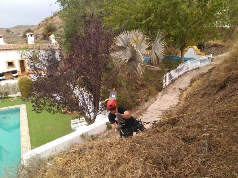 116271992_118520543278593_3461409075158919409_n