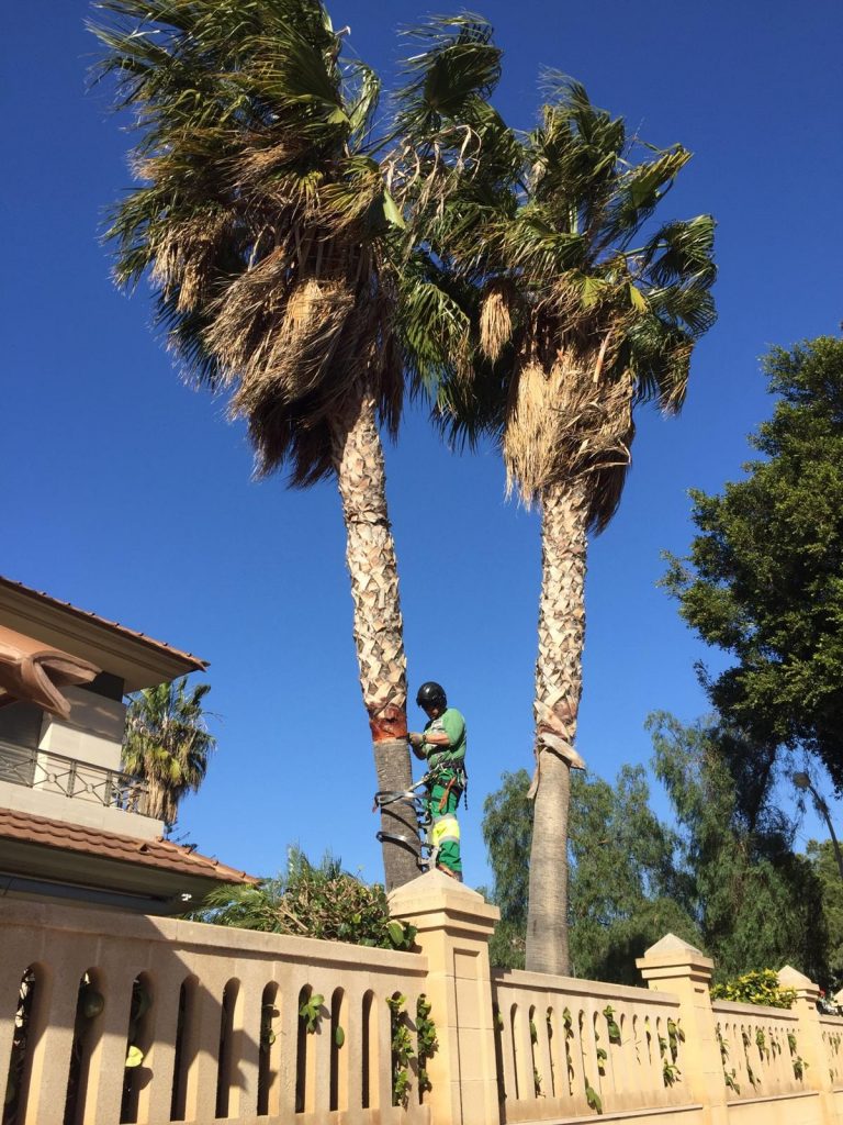 116282161_118779859919328_519380449120932587_n