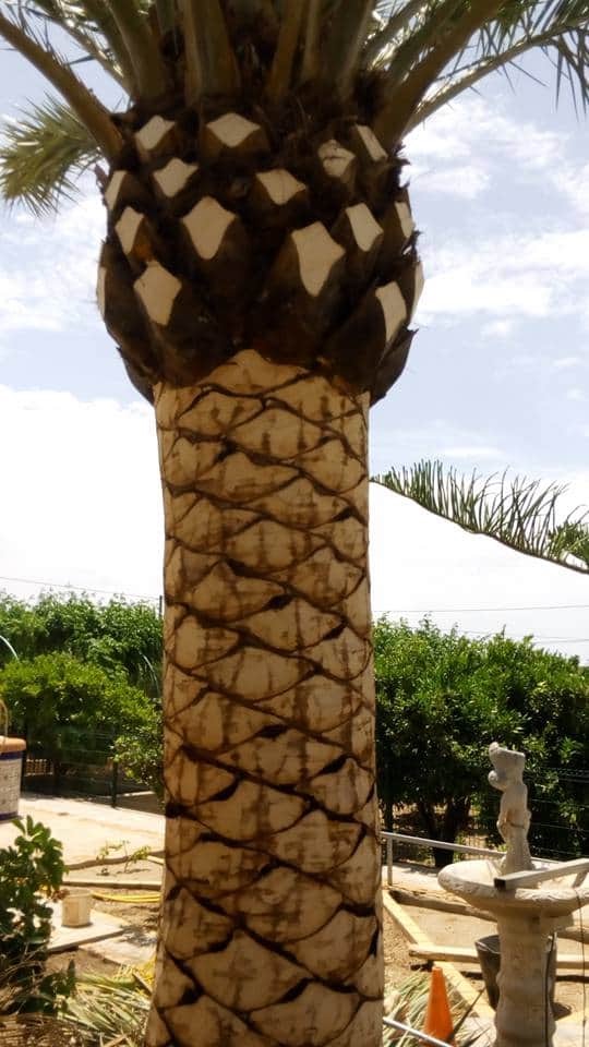 116292831_118517719945542_6959332315151354297_n