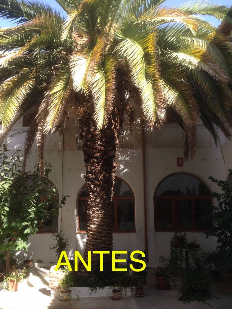 116317112_119096903220957_4478378014474007606_n