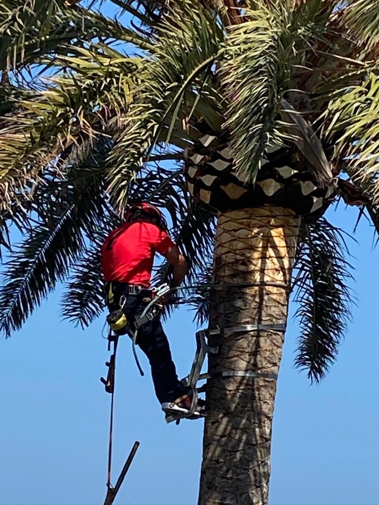 116847962_122719166192064_4293977704407806982_n