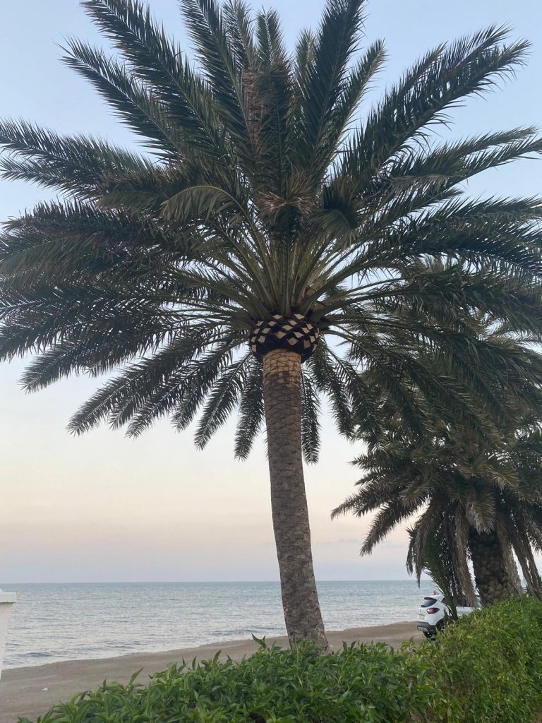 116905331_122719506192030_7344318853227050160_n