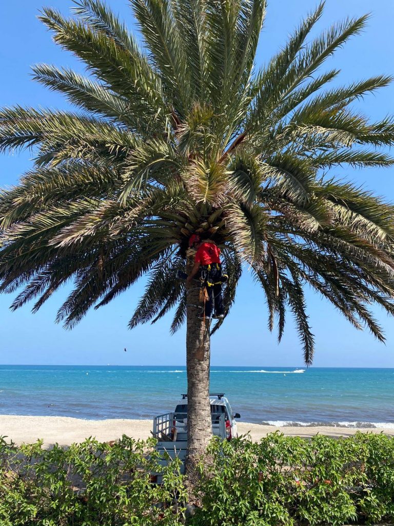 116915450_122719479525366_2164321988337716267_n