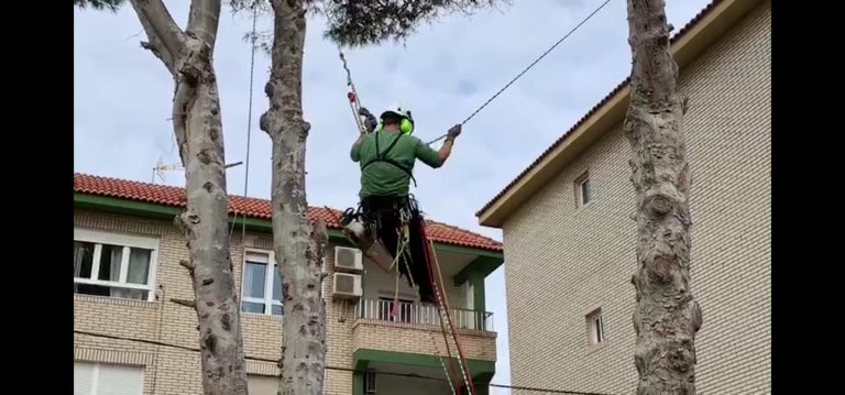 117306979_124887382641909_3258584244874113994_n