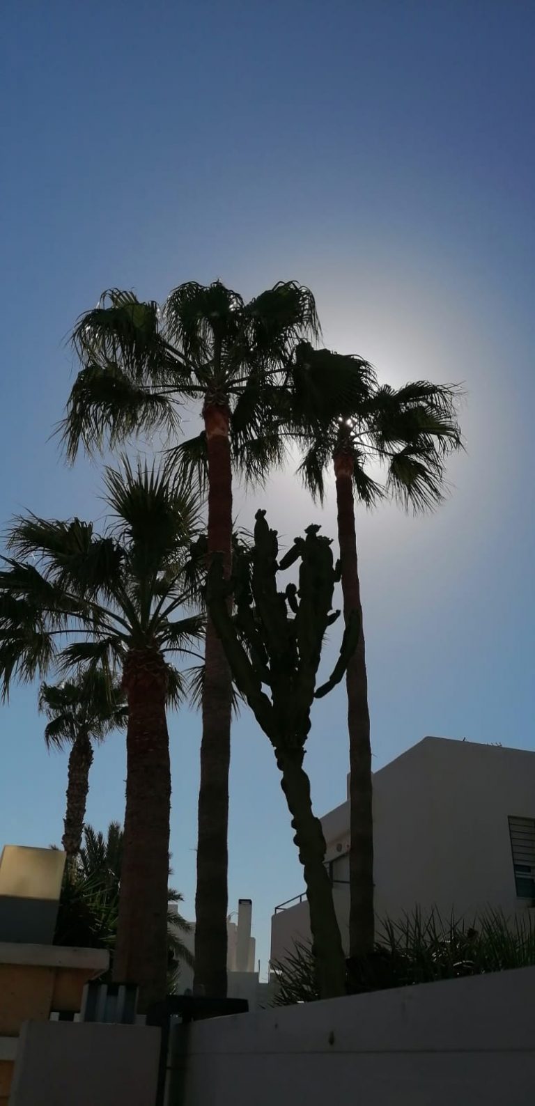 117819399_128884235575557_8450997119656757546_n