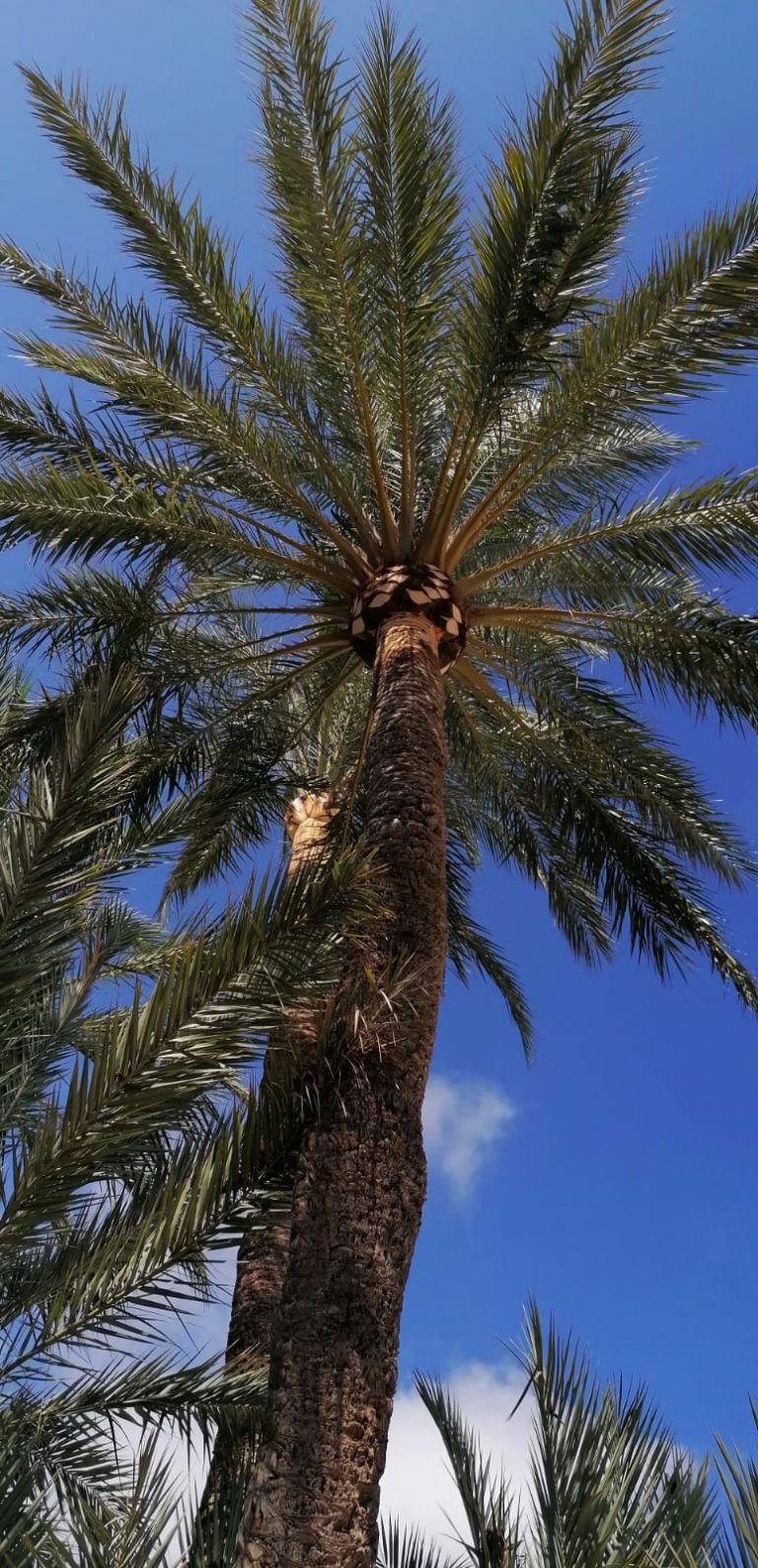 117824603_128882895575691_2535811975794765805_n