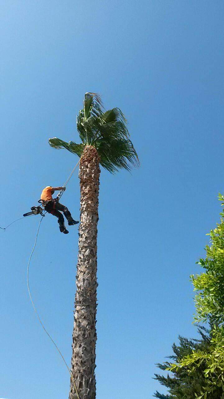 118266419_132303171900330_6690548460797838287_n