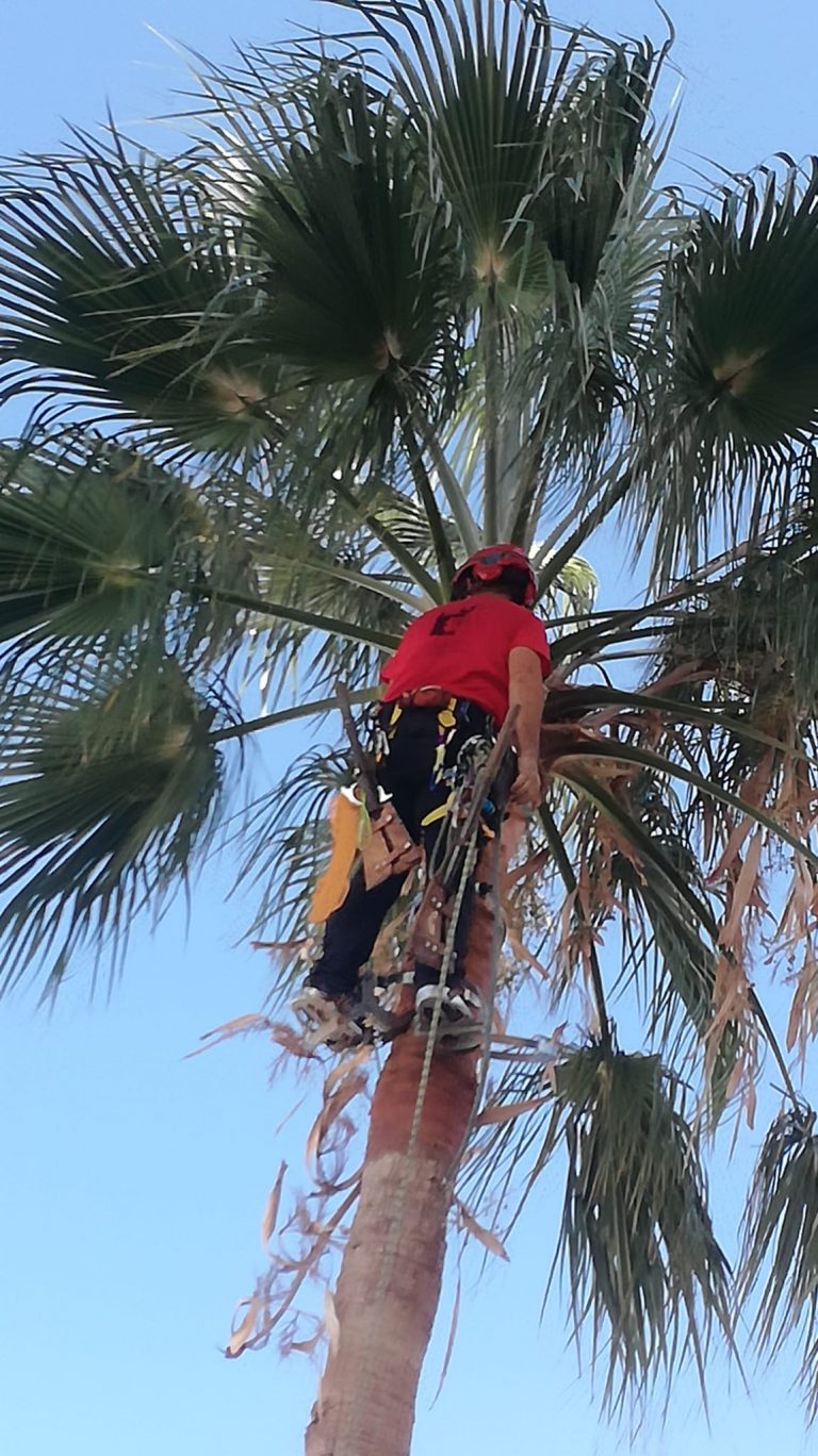 118354911_133273325136648_5266636779274599420_n