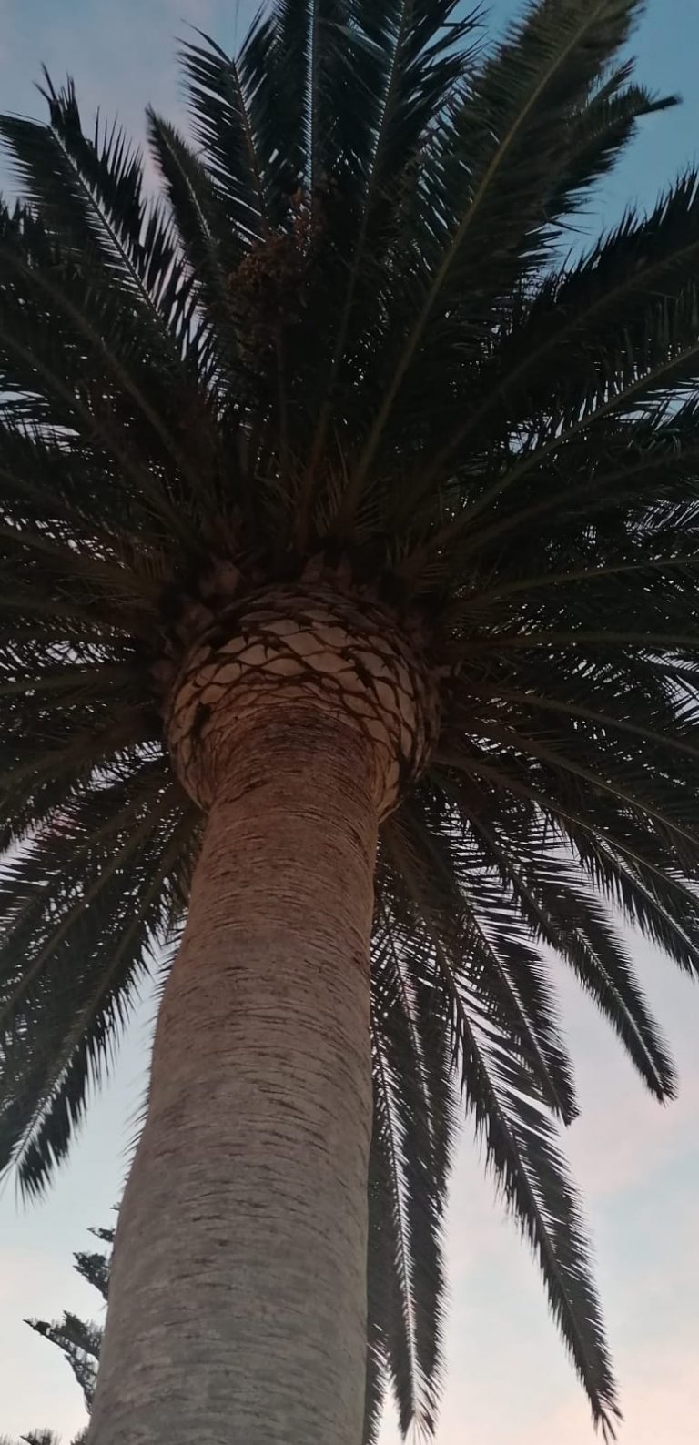 118586754_134407221689925_5579958306542109201_n