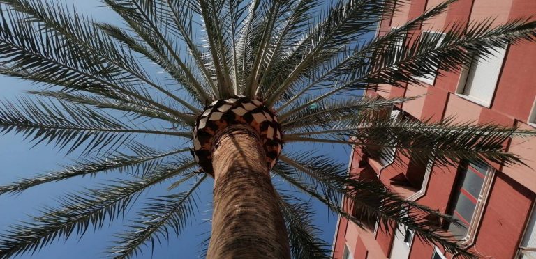 120164094_144671277330186_466709407882194330_n