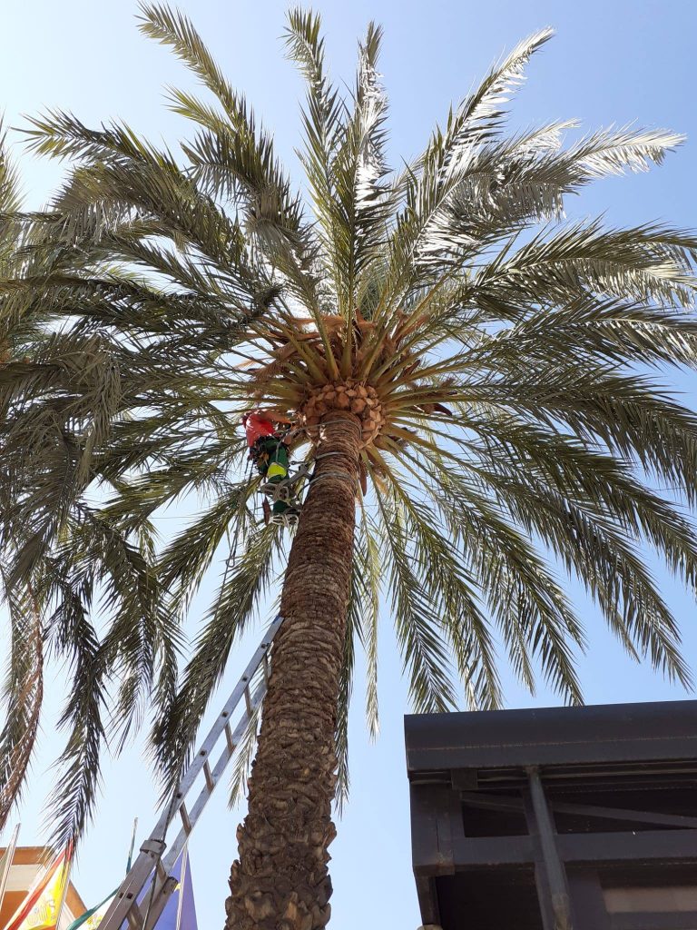 120373181_145842580546389_3251417093317981515_n