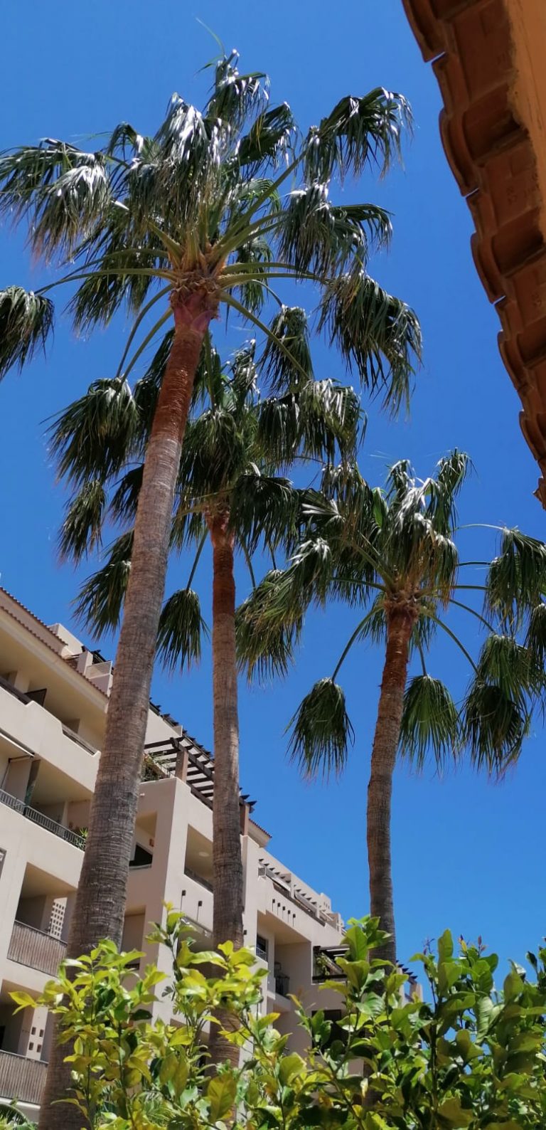 120551514_146607770469870_204623398900289428_n