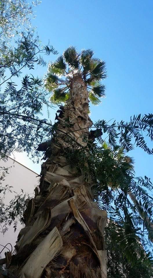 120749368_147931420337505_1676182709422775043_n