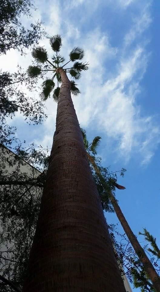 120757475_147931417004172_2226325271934040655_n