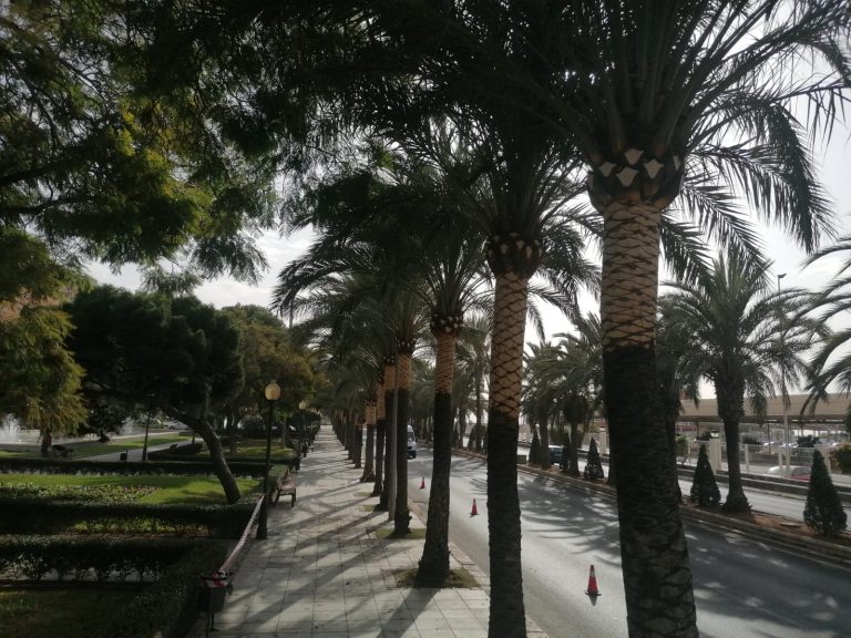 124549631_163540732109907_6879961199752424765_n