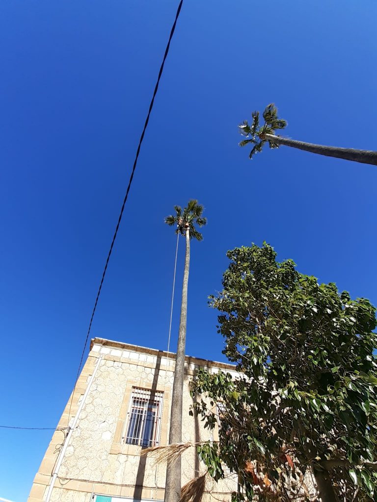 143694156_220207019776611_1257507698010955796_n