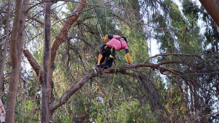 150356187_231297535334226_4043515718795604634_n