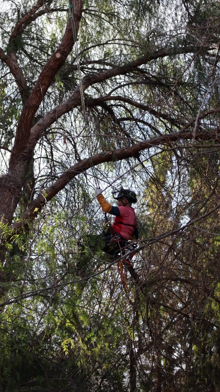 150385696_231297532000893_2368667992288970431_n