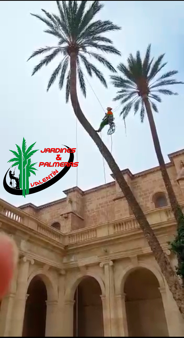 152202248_235300561600590_4555720638987128800_n