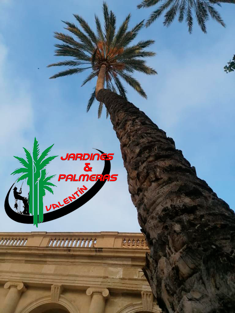 152333829_235300558267257_2205918162683881340_n