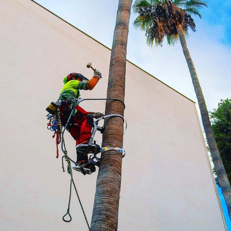 260745571_425819702548674_2272443240124011035_n