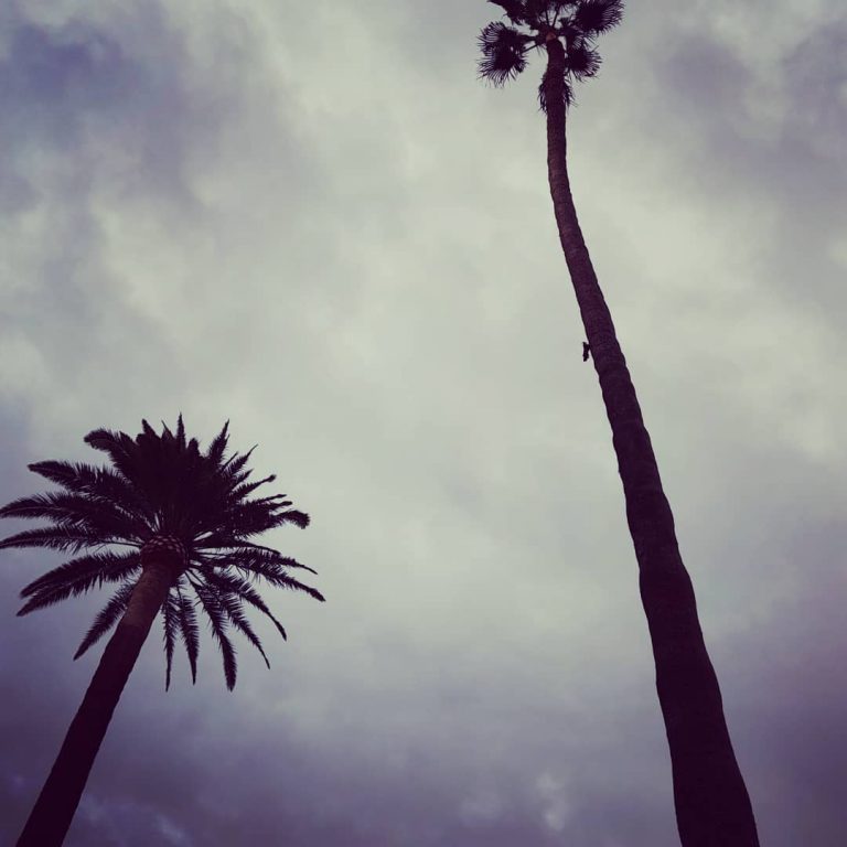 266715111_434908951639749_6334939095008755593_n