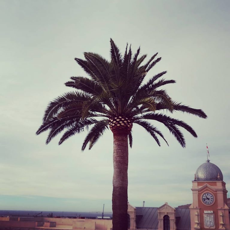 266739325_434908948306416_3640941677113955092_n