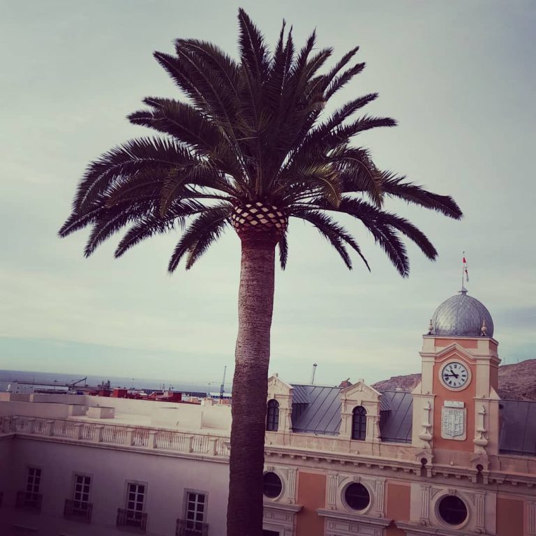 266791383_434908954973082_8429168816799909097_n