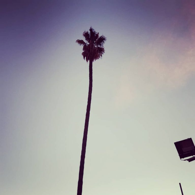 267387548_434908944973083_8043365649899362677_n