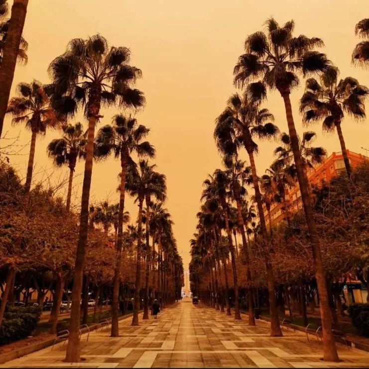 275654956_494157512381559_1362940127297588689_n