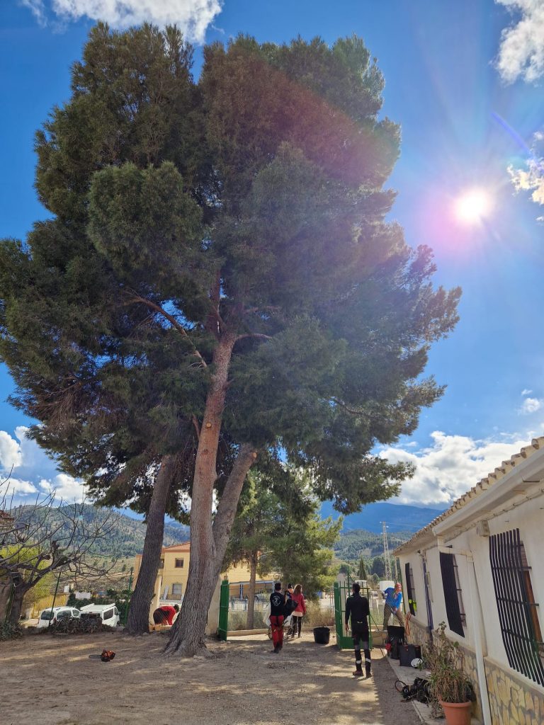 29102723-8e76-418e-9aaa-811cd58f7609