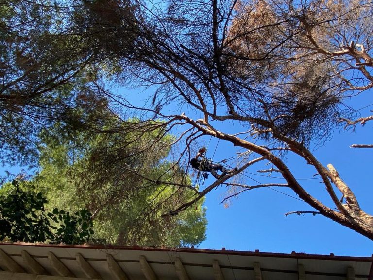 31474b24-8828-4765-a9b9-96c1944ba790