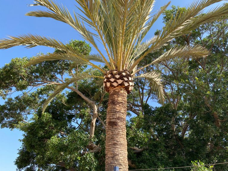 42c392ef-84f5-4e00-9969-e20229555d62