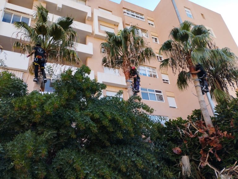 6c347193-e08b-4cc1-b5ad-de1404990ea3