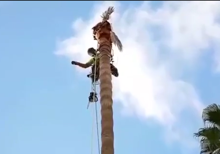 Captura de pantalla 2022-10-28 182428