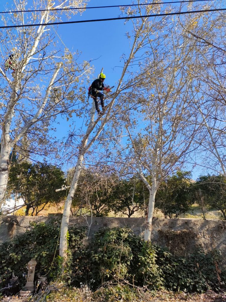 PHOTO-2023-02-04-17-34-41