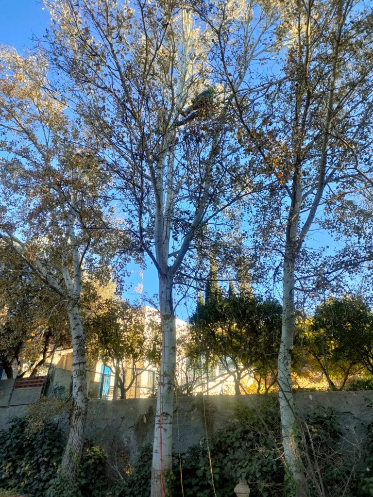 PHOTO-2023-02-04-17-34-45