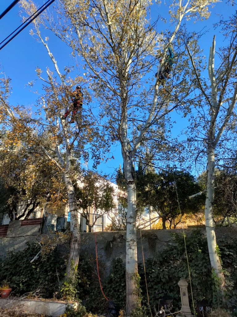 PHOTO-2023-02-04-17-34-46