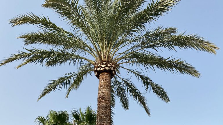 cc2a7c2d-0d75-49dd-8e7a-5b8f8f26a5c3