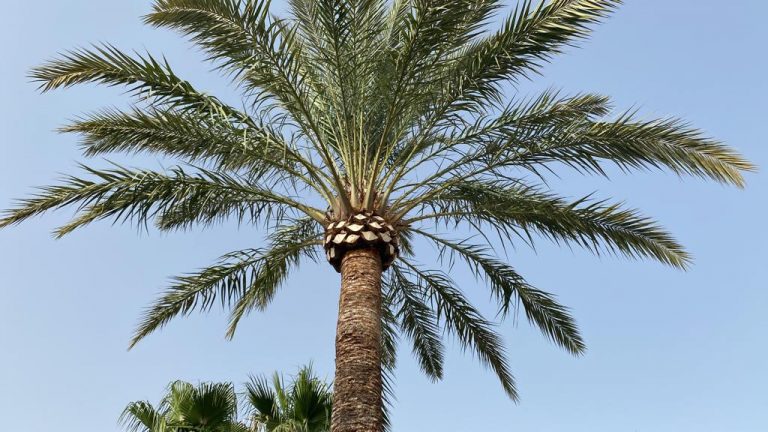 e254680e-b034-476c-b9b7-06bc6662ad05