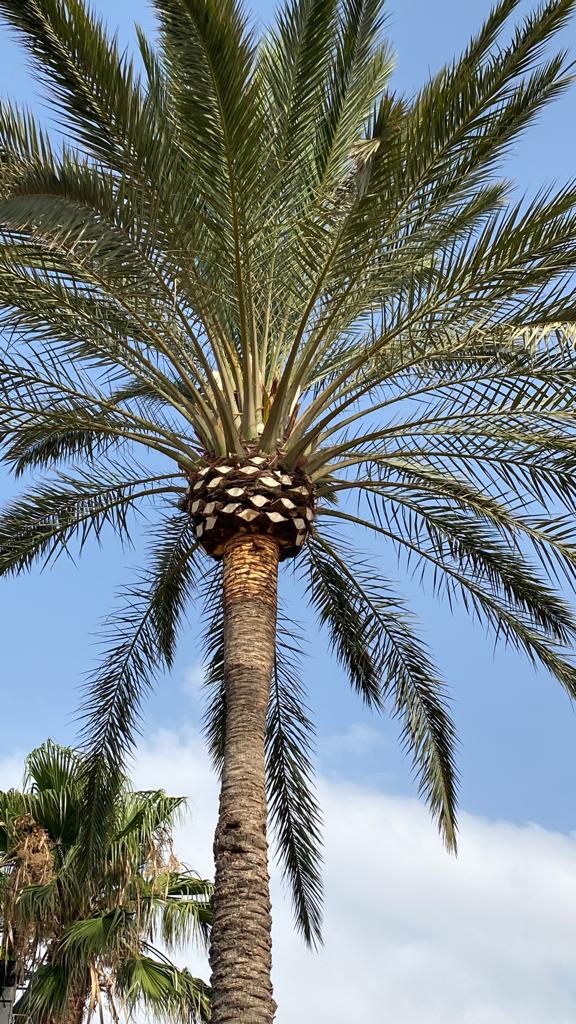 ecd81e09-0a60-4e53-b7e1-5233117ca4df