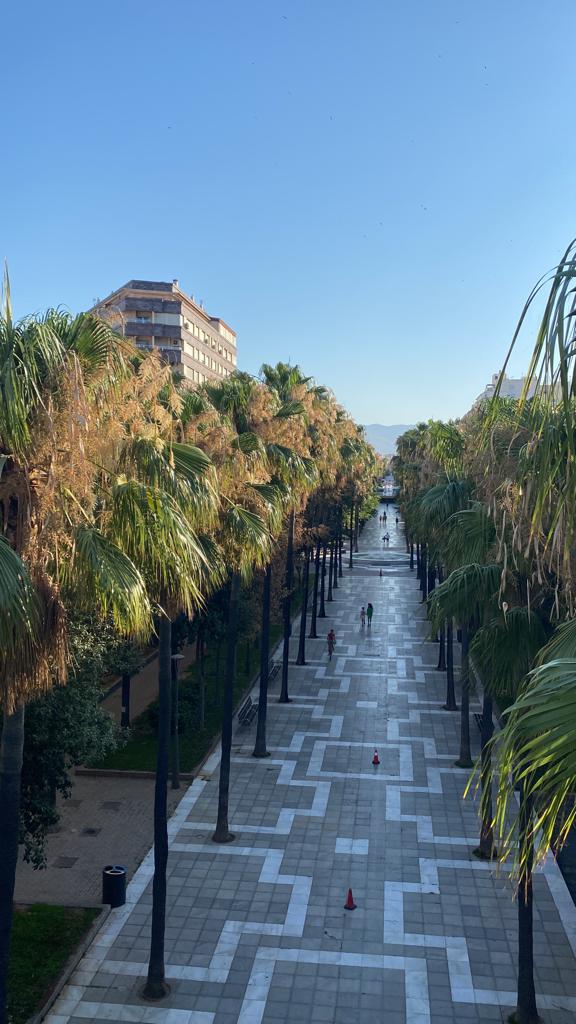 f6d6e351-9adf-40d9-9bbd-6e8838b4243a